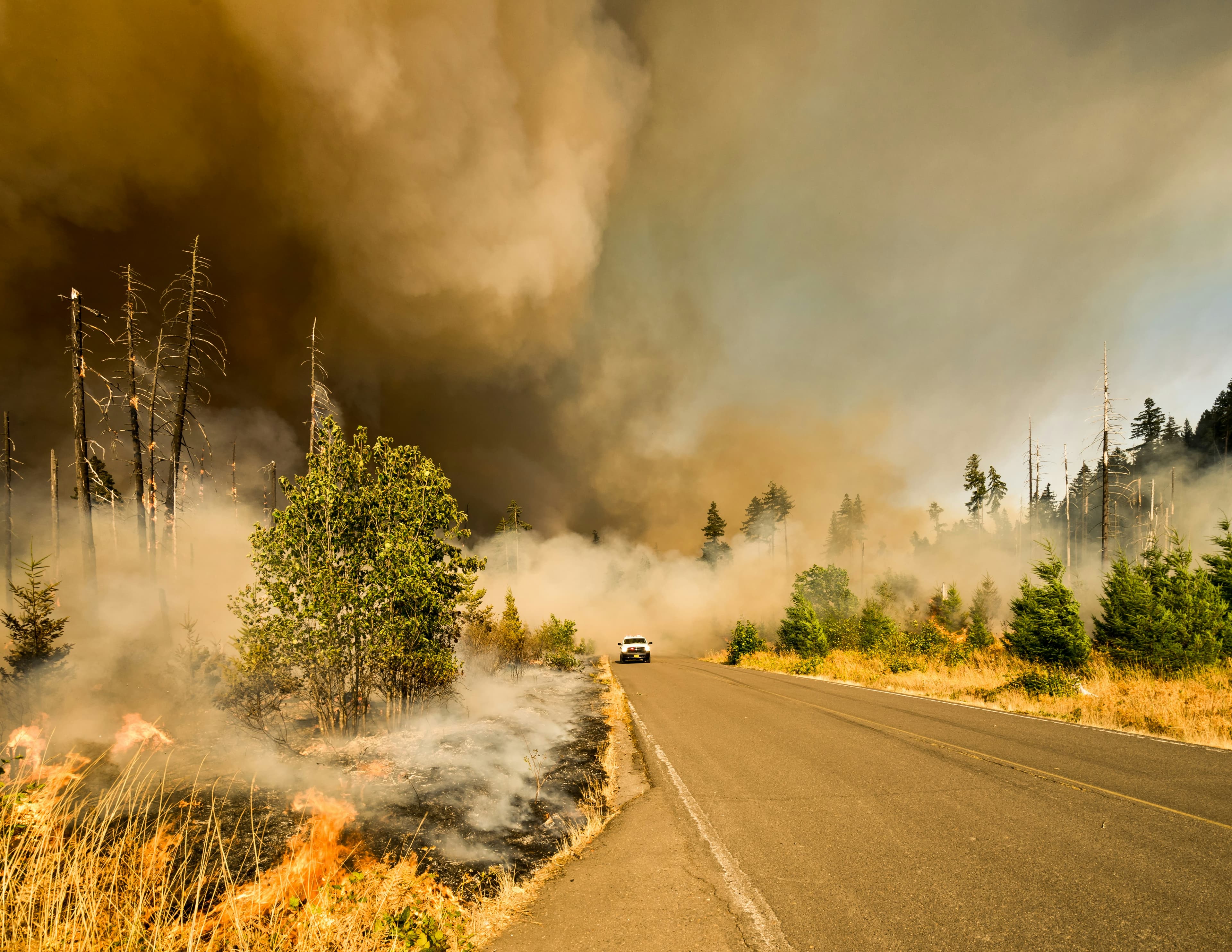 What’s the Difference Between Homeowners’ Insurance and Fire Insurance?