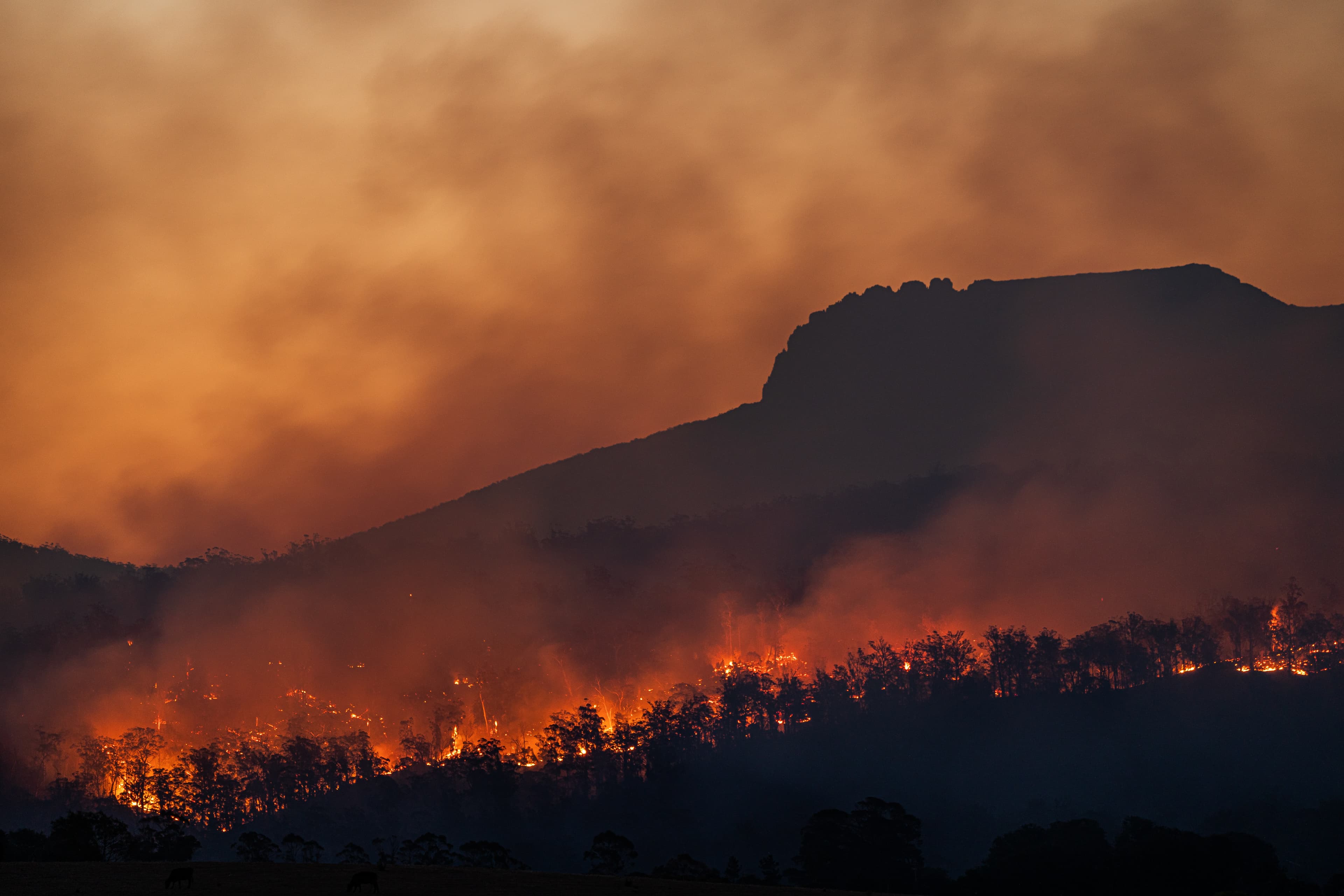 Recovering from the Eaton Fire: Essential Resources and Tips for Affected Residents
